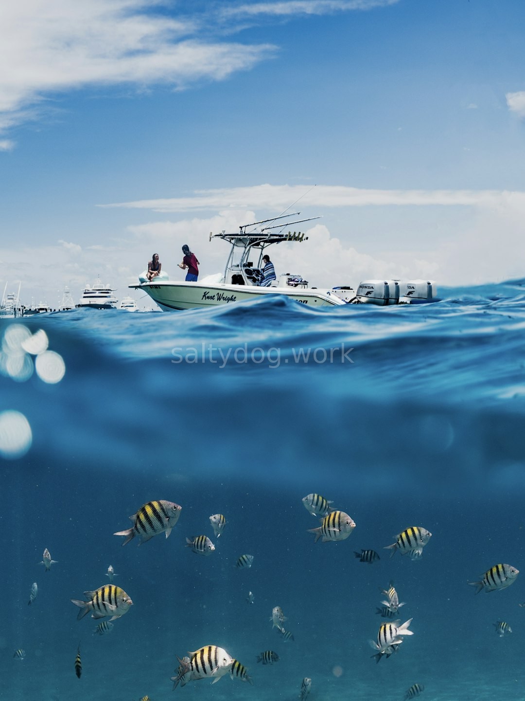Charter